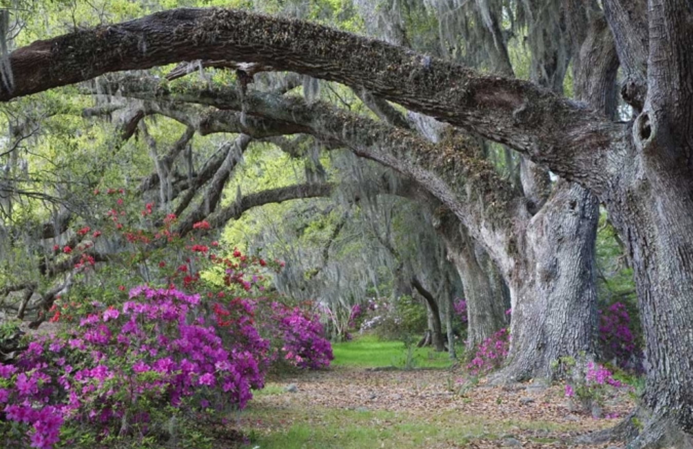 Slow Down - Spirit Road Travel